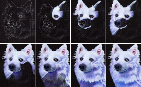 Eskimo Dog Collage